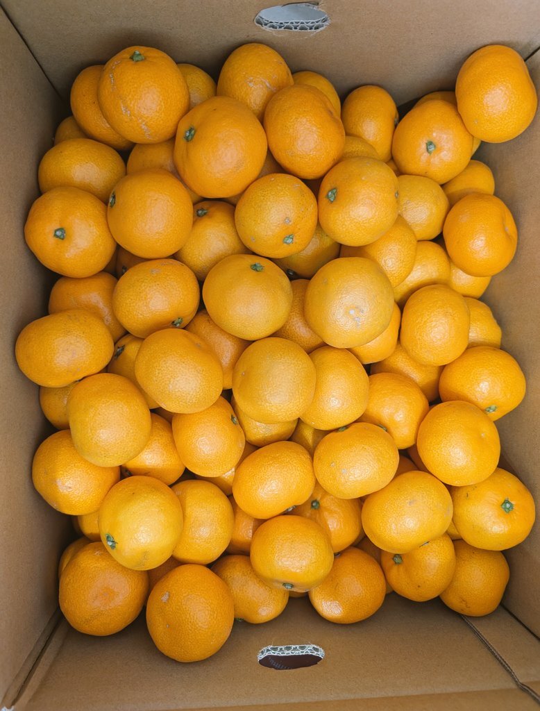 日曜日の午後、SNSユーザーは笑顔と日常を共有