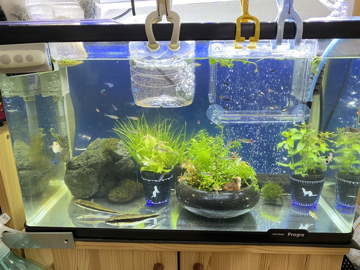 隔離 ケース のtwitter検索結果 Yahoo リアルタイム検索