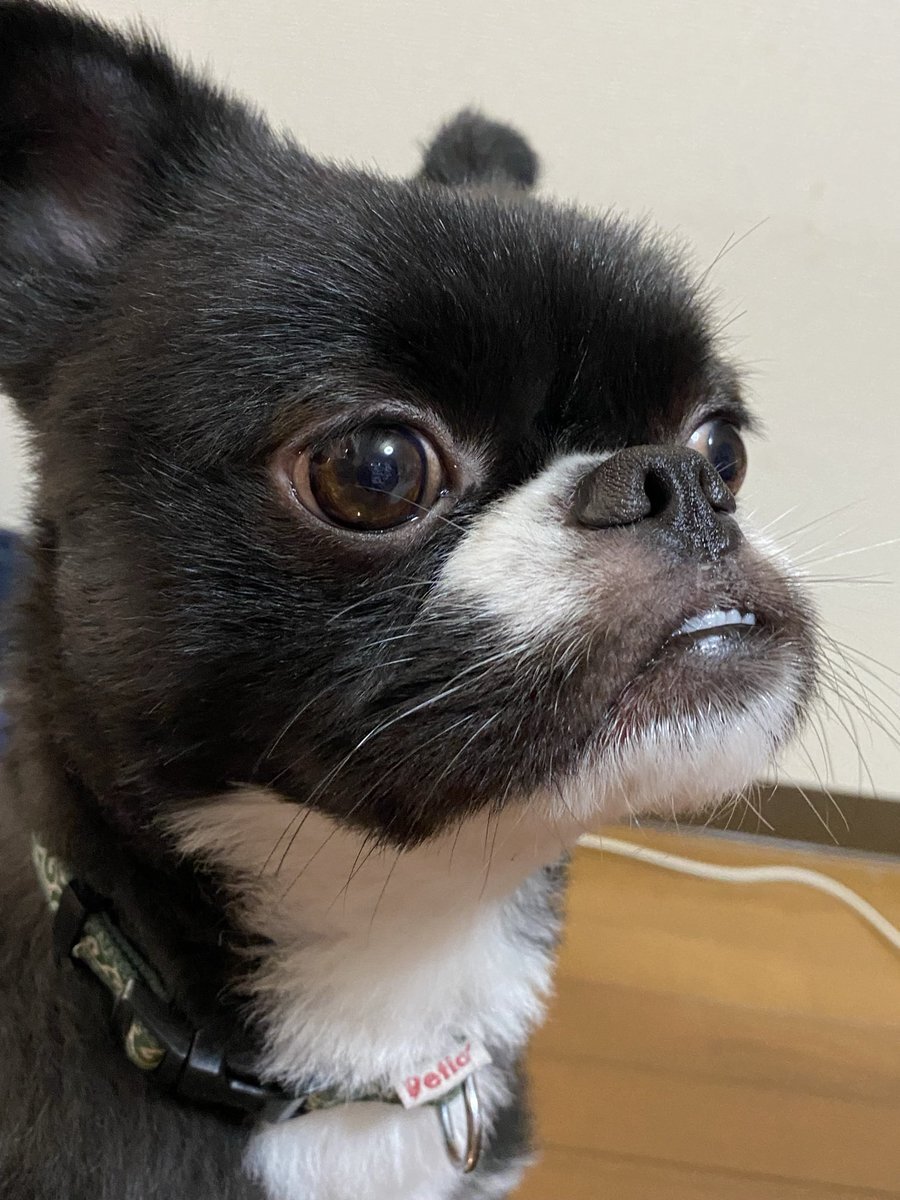 あご のtwitter検索結果 Yahoo リアルタイム検索