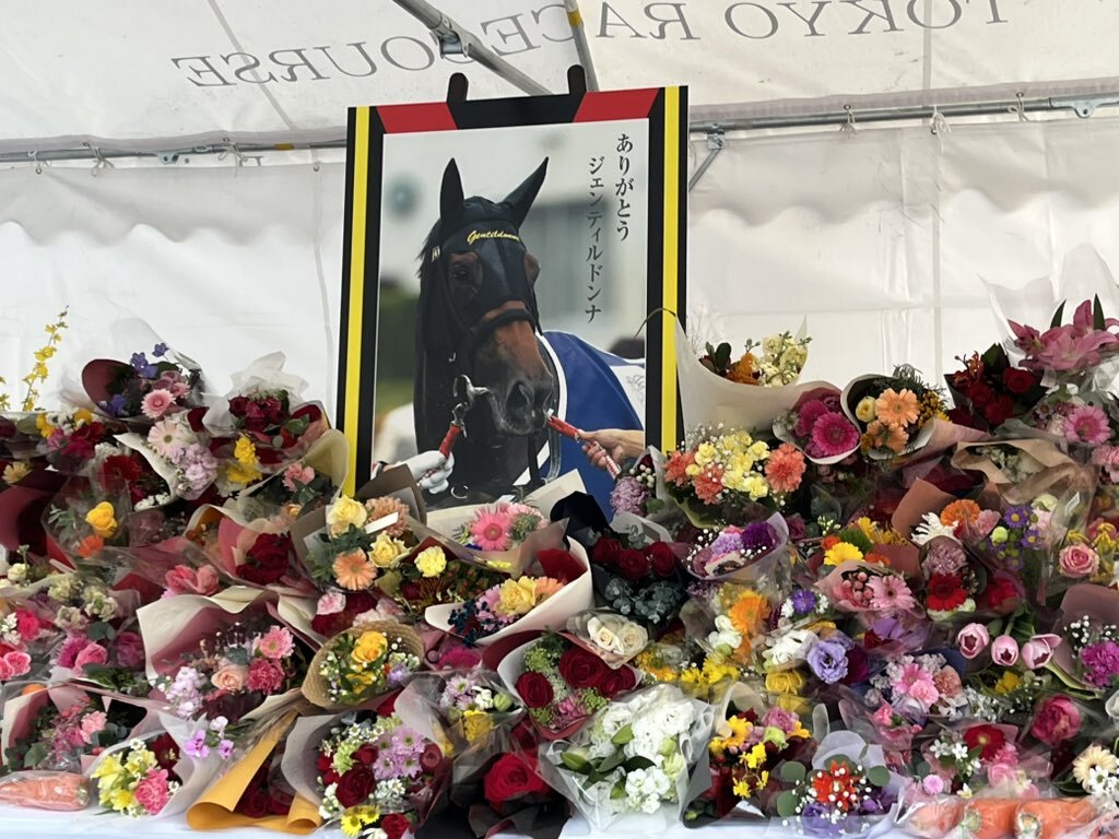 ジェンティルドンナ ジャパンカップ」のYahoo!リアルタイム検索 - X