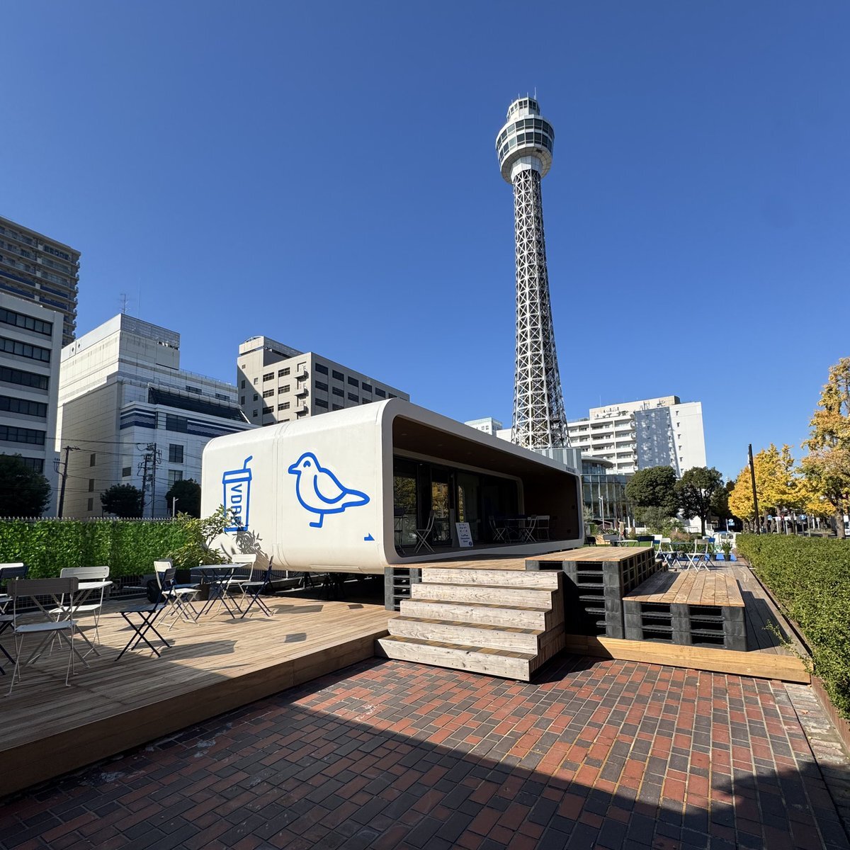 なにわ男子丈一郎、めざましテレビ「どっち派」で笑顔あふれるロケ！道枝駿佑もリポーターに