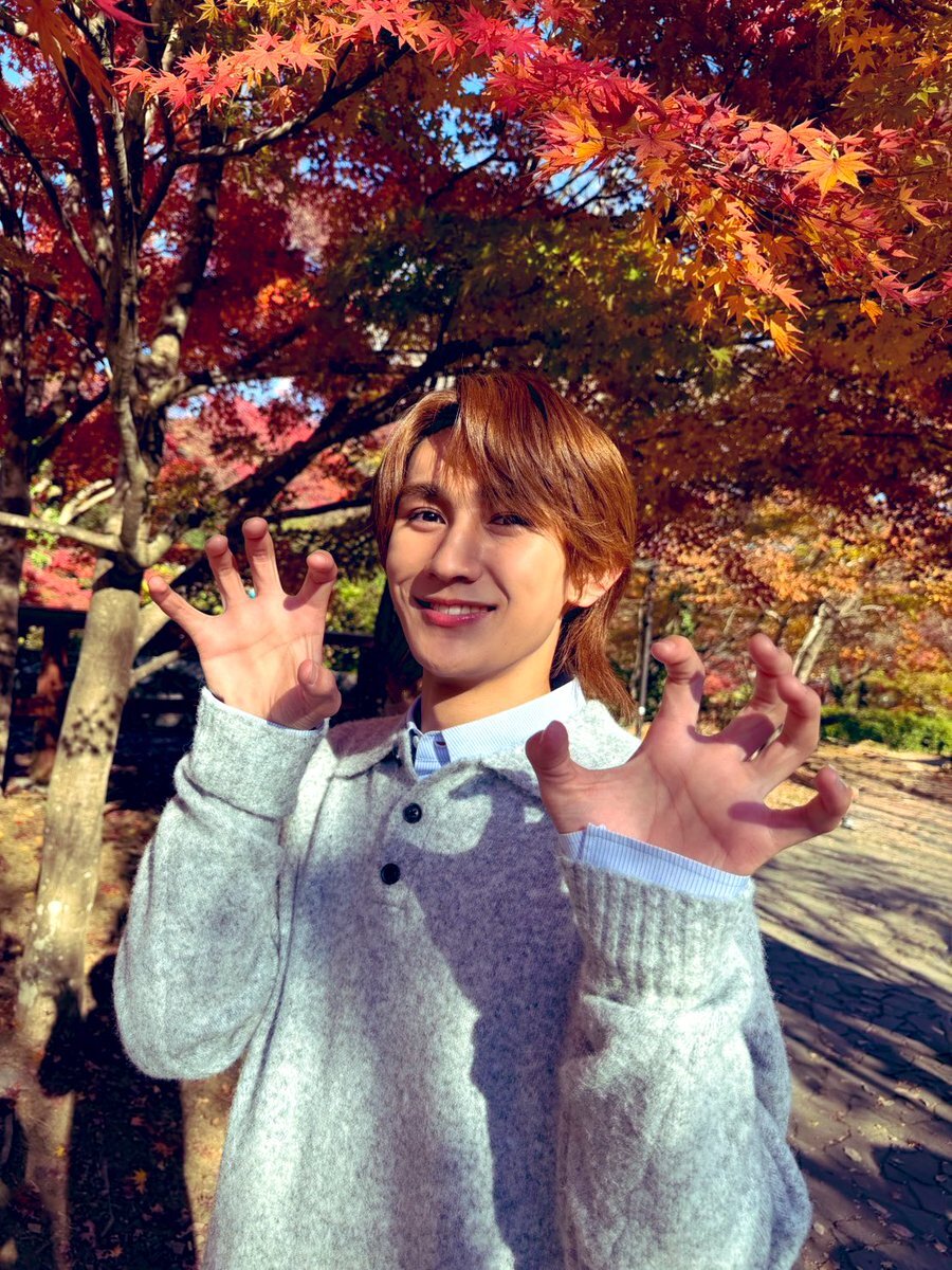 足立区ひき逃げ事件、フジTV「とれたてっ」情報収集遅れに批判殺到