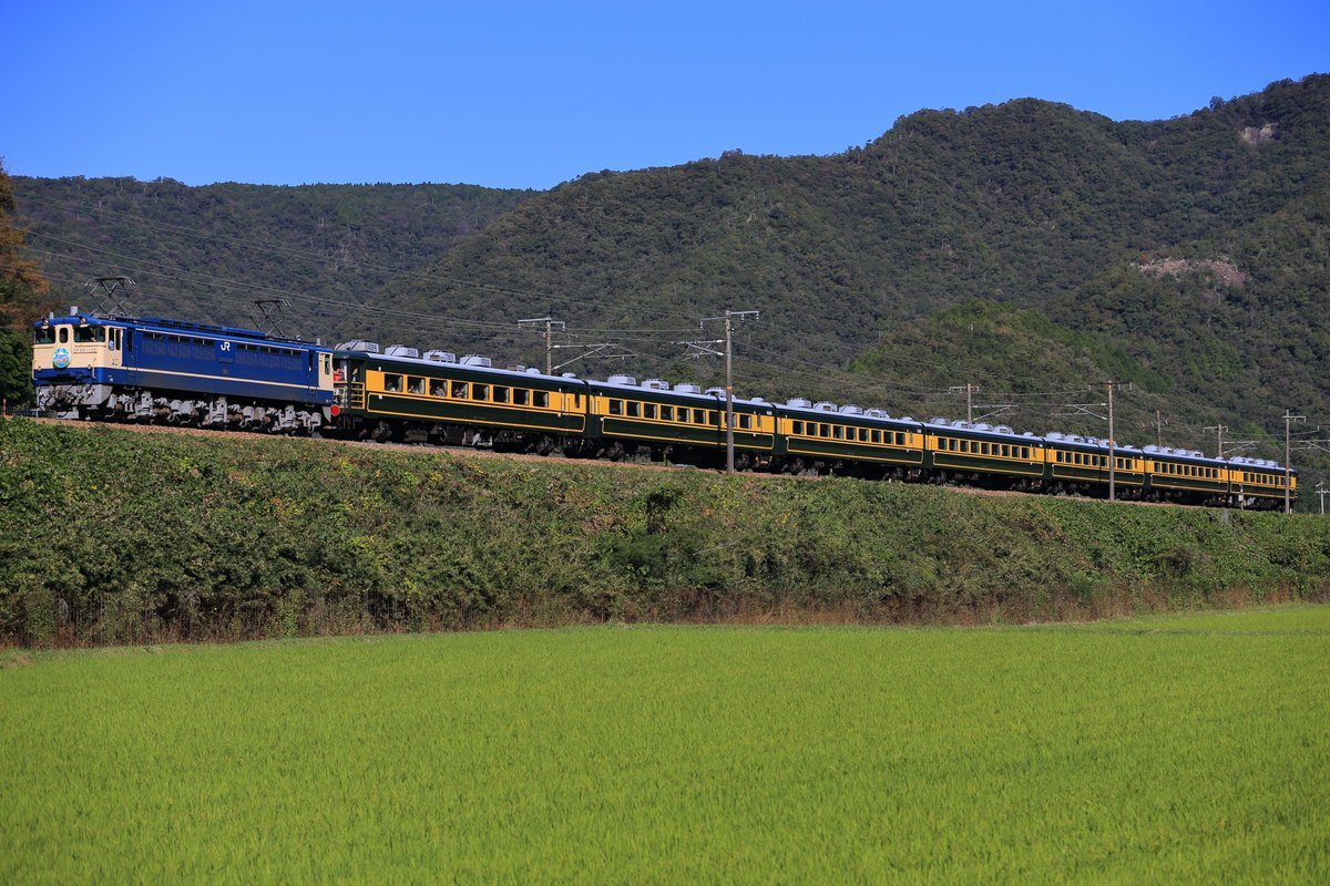 14系　サロンカーなにわ　大サロ サロンカーなにわ - Wikipedia