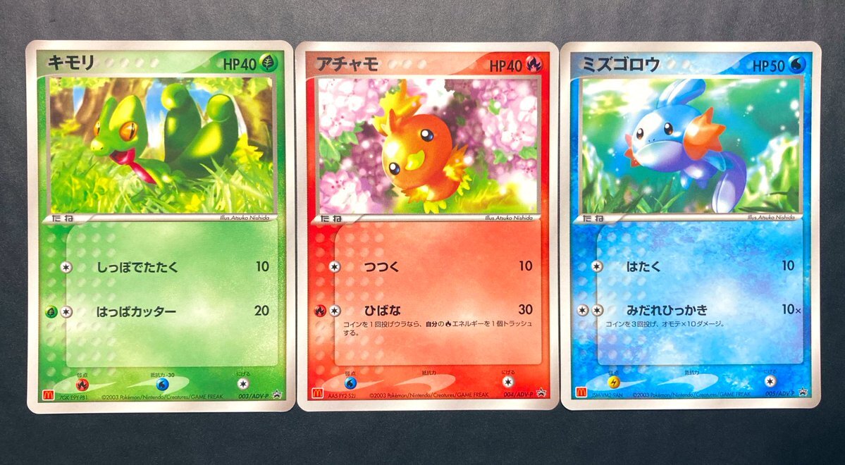 ホウエン御三家、ついにポケモンに登場する？