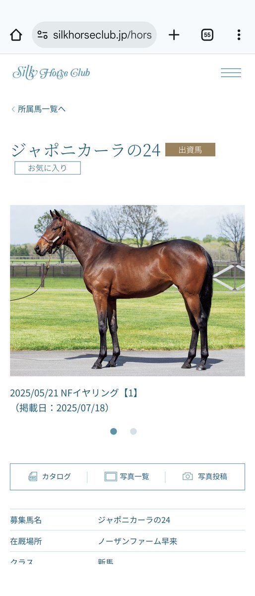 キズナ 競馬」のYahoo!リアルタイム検索 - X（旧Twitter）を
