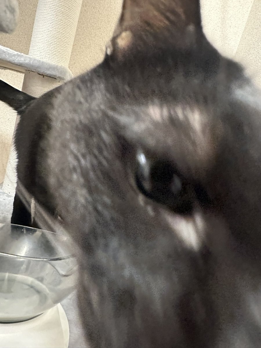 槇原敬之「世界に一つだけの花」にファンがノスタルジー！思い出語る投稿多数