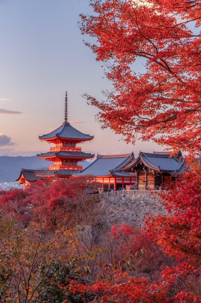 清水寺」のYahoo!リアルタイム検索 - X（旧Twitter）をリアルタイム検索