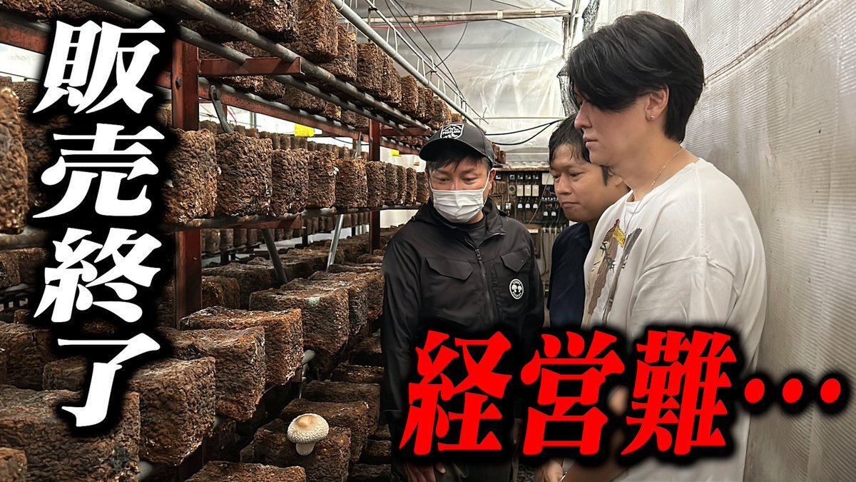 今日のこの日に感謝します！アワビ。 アワビ）」のYahoo!リアルタイム検索 - X（旧Twitter）を