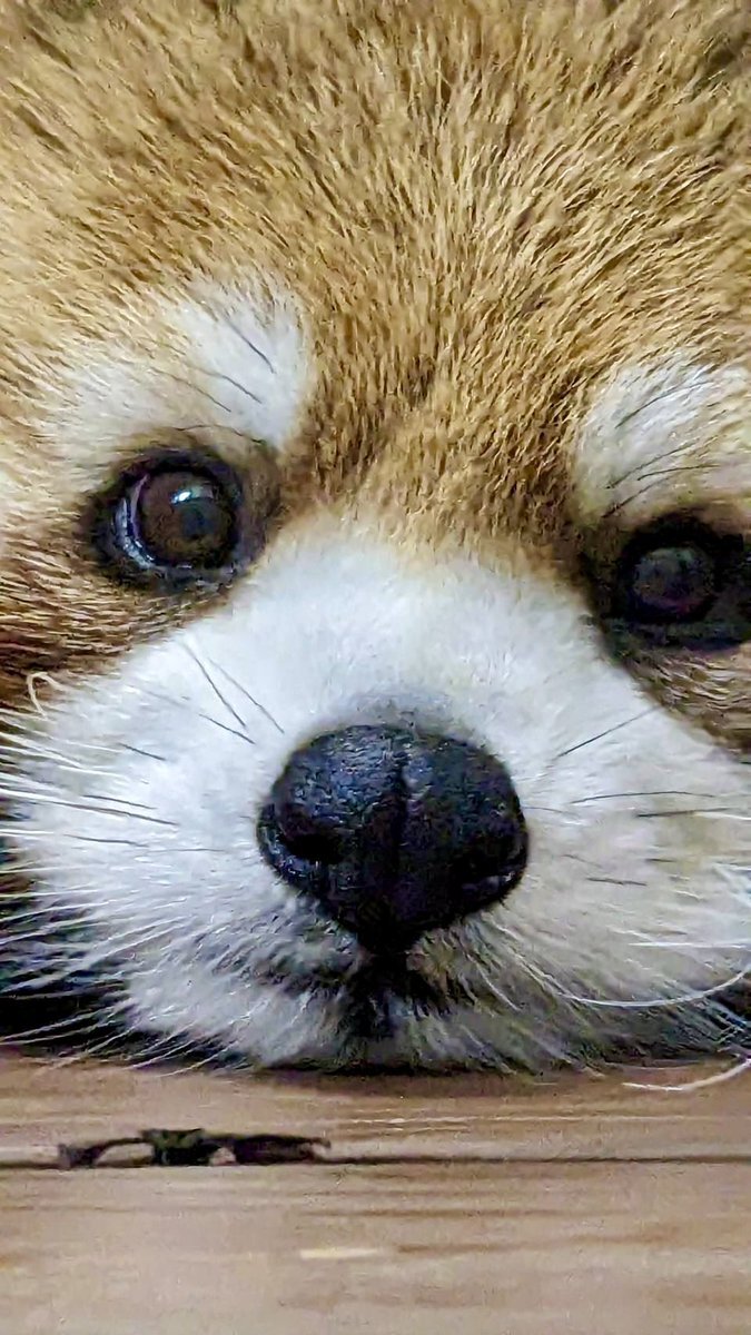 香川照之さん、60歳の誕生日を祝福！ファンから「圧倒的な存在感」の声