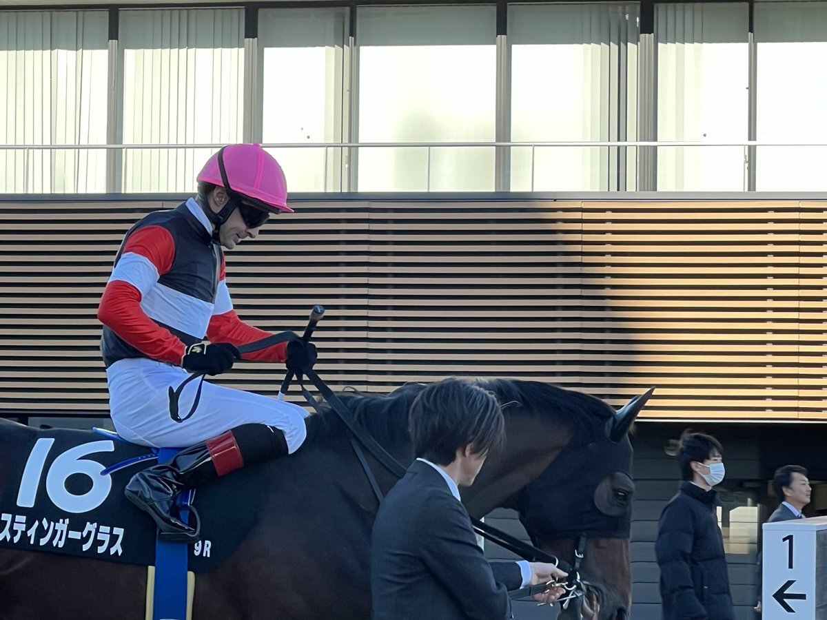 スティンガーグラス、有馬記念回避へ エムズレーシングが公式Xで発表