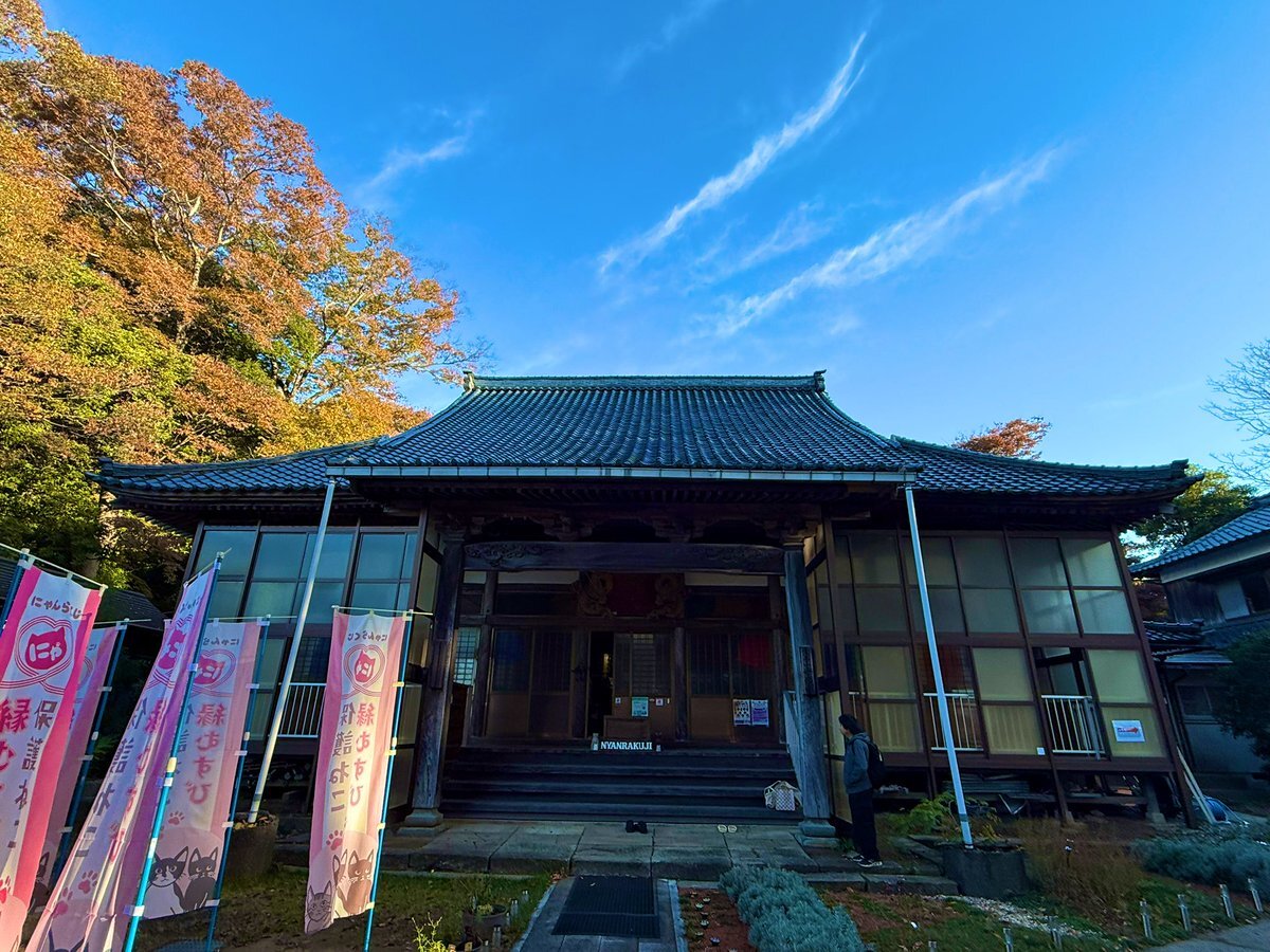 今週のSNS投稿で話題になったのは？