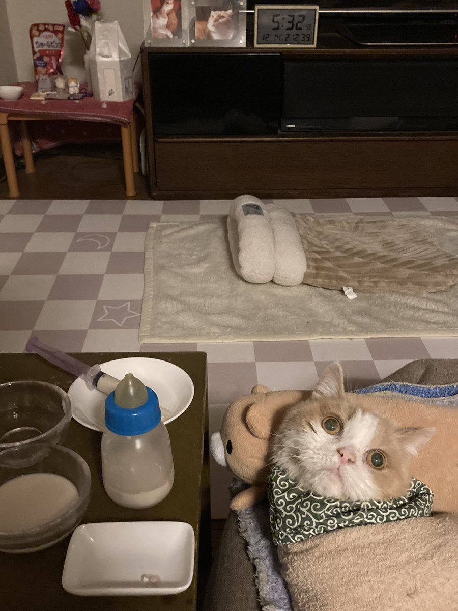 日曜出勤、疲れと前向きな気持ち交差