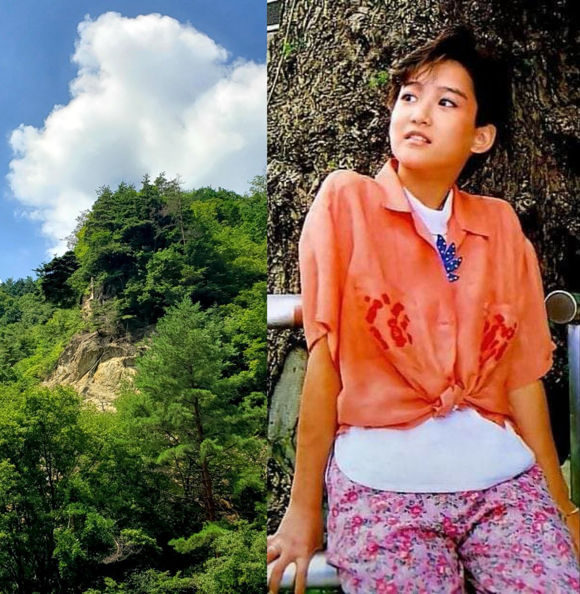 岡田有希子　ユッコ　ユッコちゃんTシャツ Mサイズ Amazon.co.jp: 岡田有希子7'シングル国内盤二人だけのセレモニー