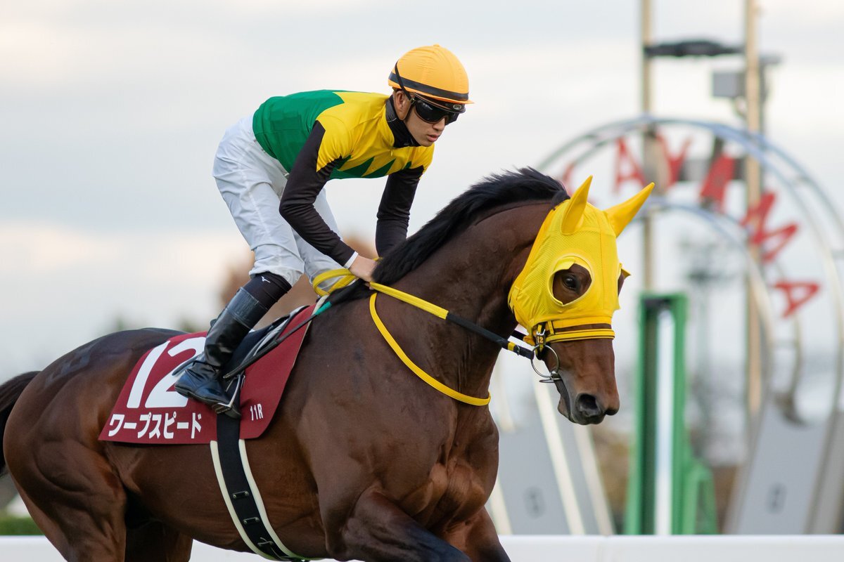 菅原明良騎手、ゲート内で暴れた馬に巻き込まれ重傷？