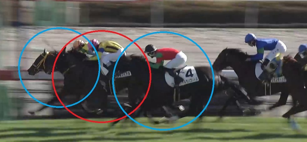 クールフィデル、中山2Rで2着！ファン「惜しかったけどよく頑張った」