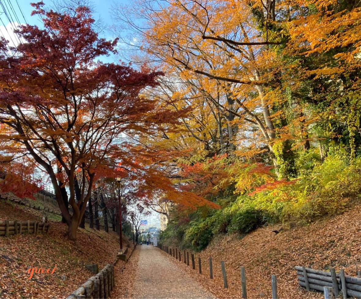 松本剛選手、巨人移籍へ！人的補償で誰獲得？ファン期待と不安の声