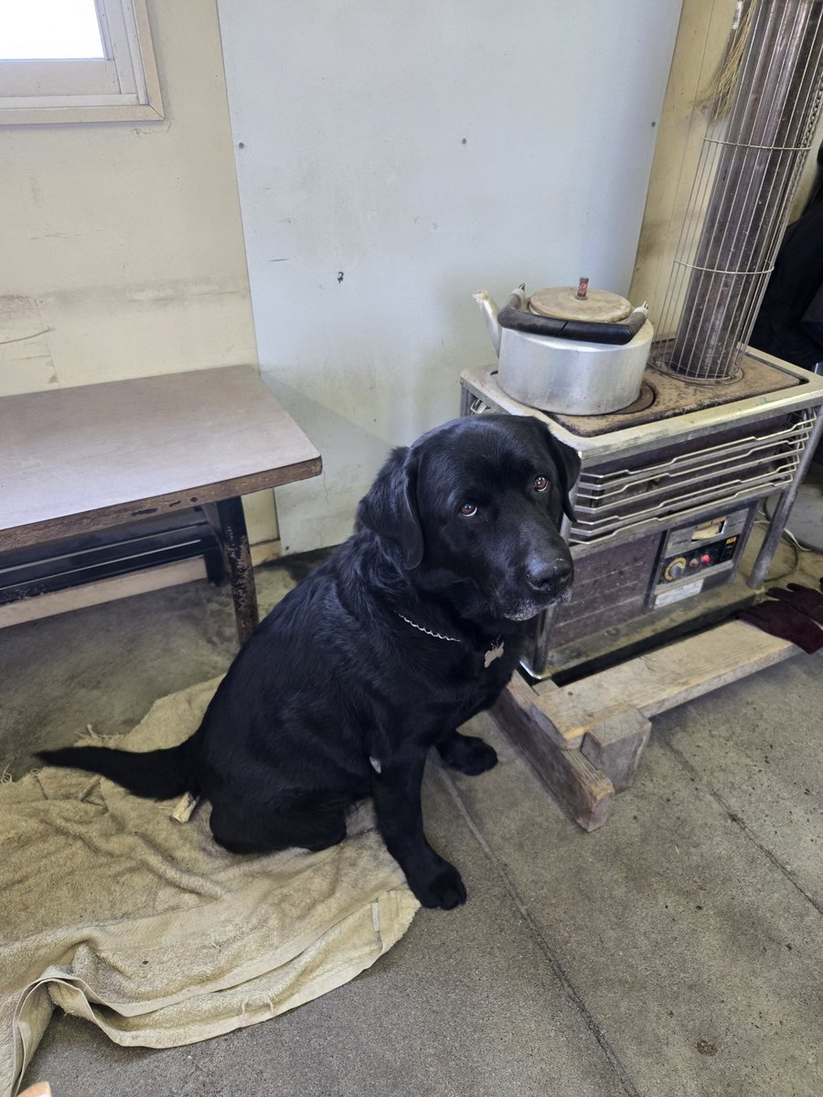 Hey! Say! JUMPとコラボ！中京競馬場でイベント開催にファン興奮