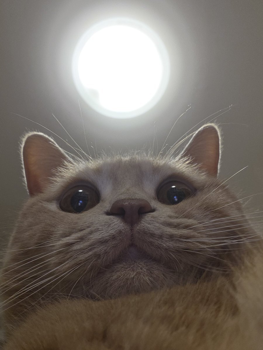 リーナベル バケパ」のYahoo!リアルタイム検索 - X（旧Twitter）を