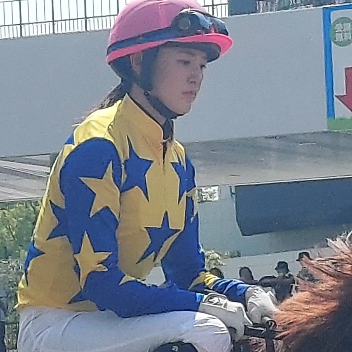 藤田菜七子元騎手　デサントコラボ　パーカー　未開封 藤田菜七子元騎手 デサントコラボ パーカー 未開封 - メルカリ