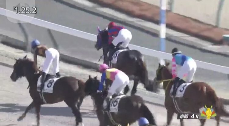 アンビシャスヨシノ、京都4Rを制しファンを喜ばせる！