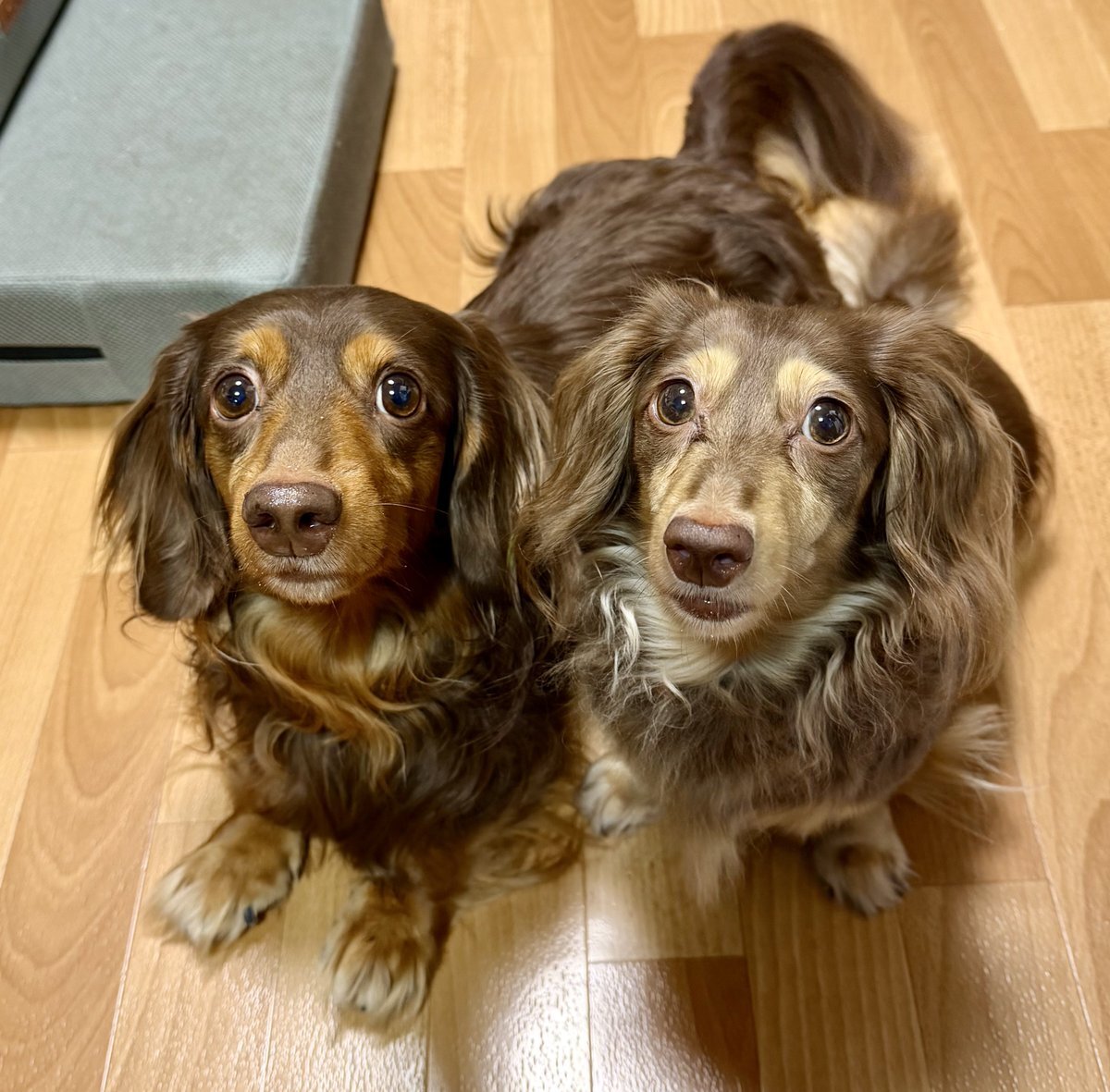 「今季一番寒い朝、SNSで話題に」