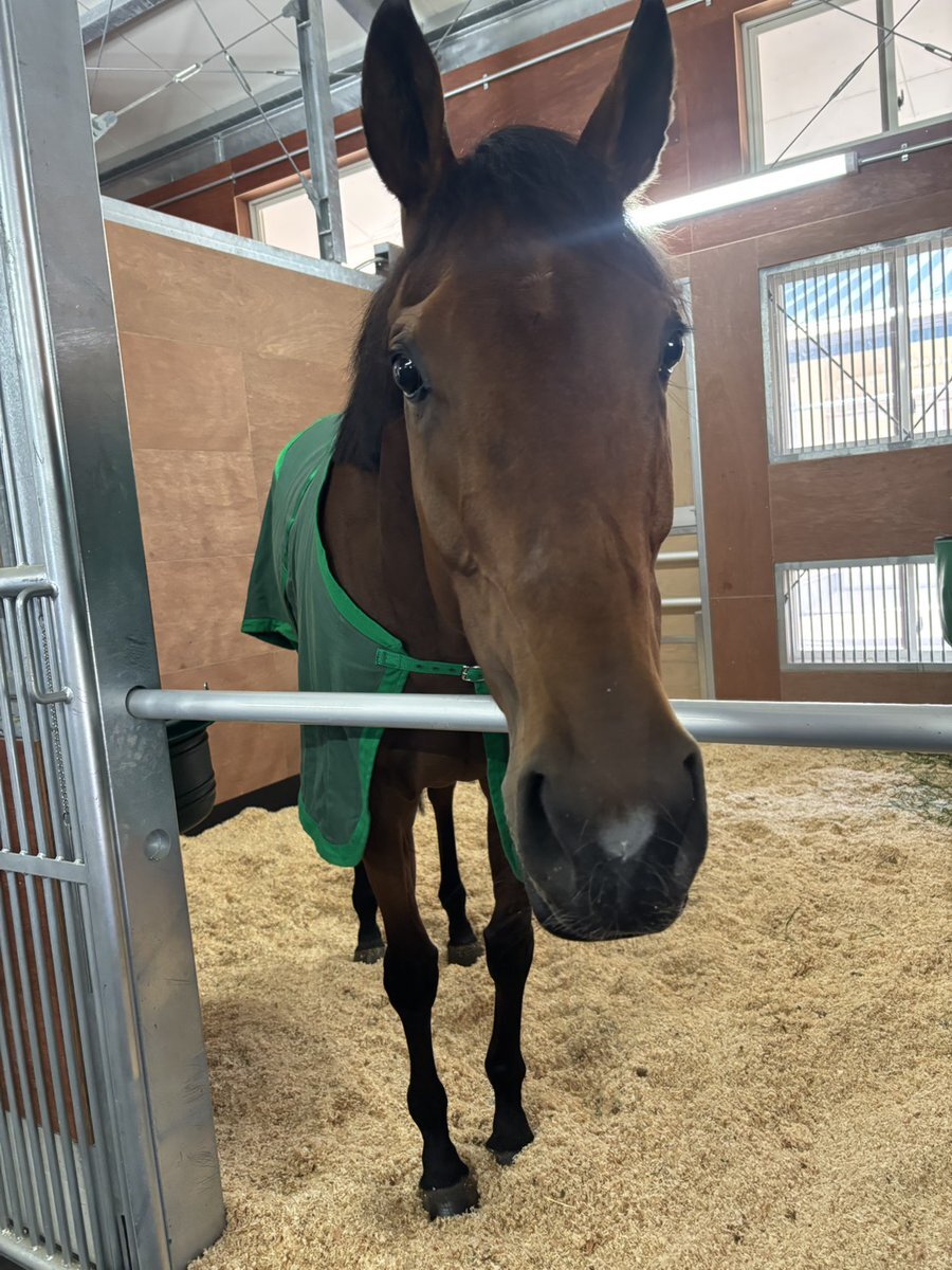 シンリョクカ、繁殖入りで新たな章へ