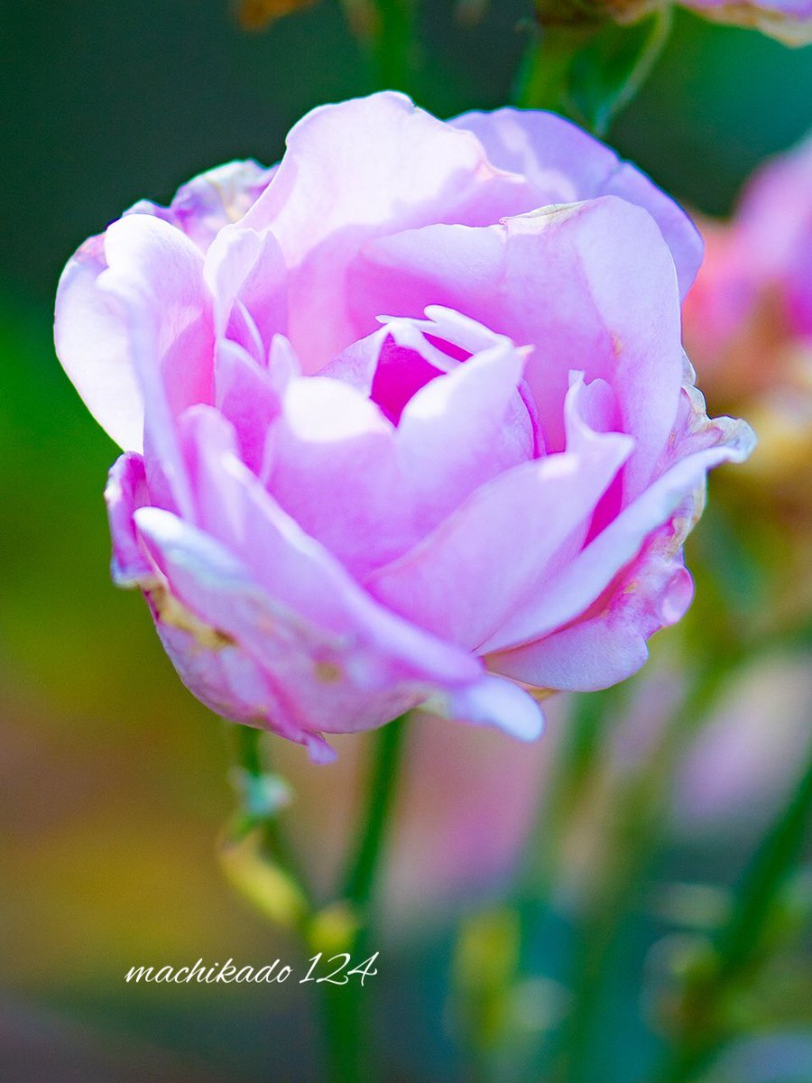 12月14日(日) 雨のち晴れ！各地の天気予報をチェック