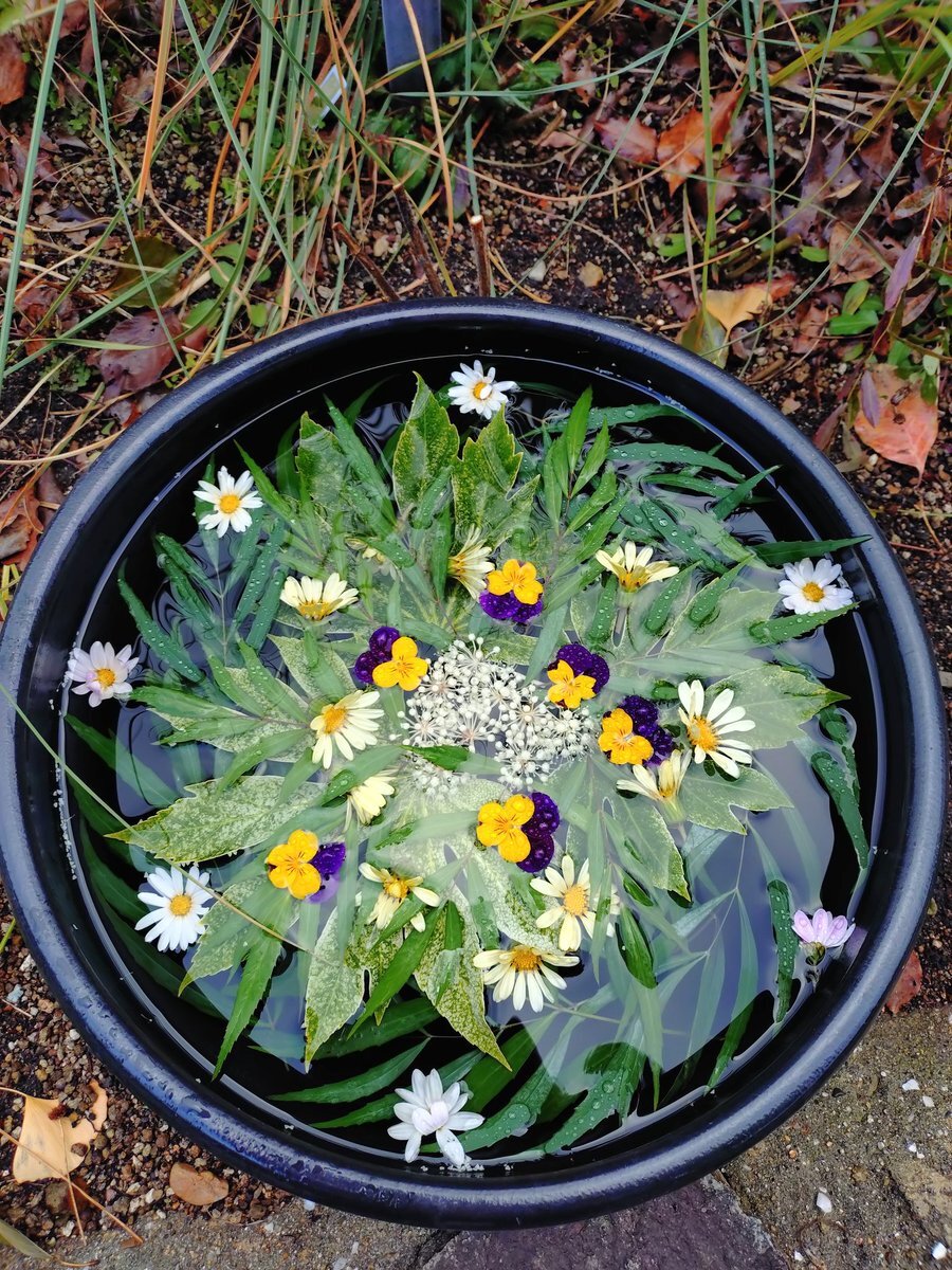 リスナーも考える！仁井聡子の「永遠」クイズに様々な意見が