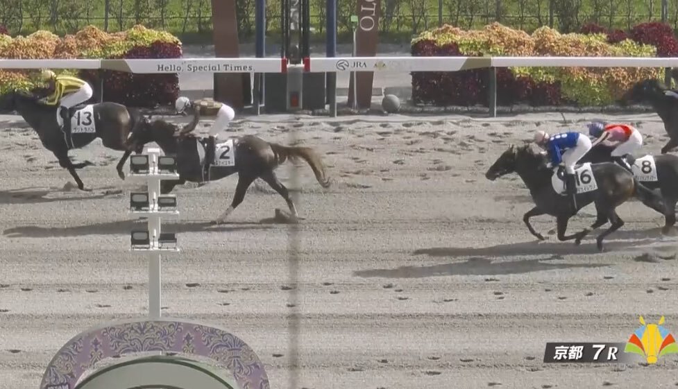 ヴリトラハンが勝利！予想的中！