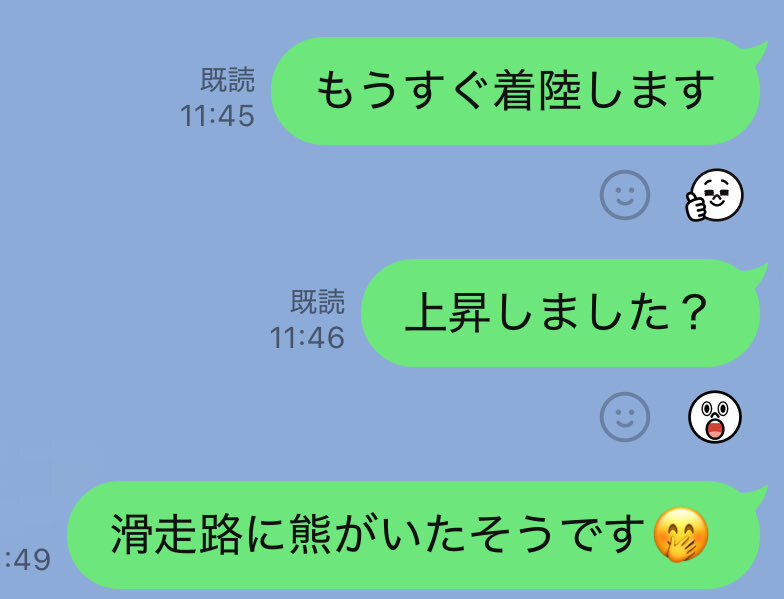 秋田空港にクマ侵入、着陸機を誘導