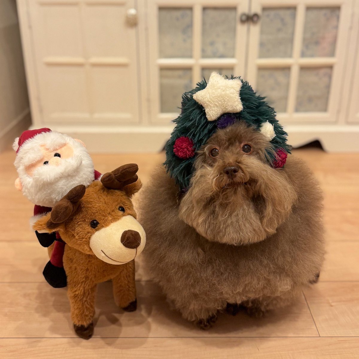 佳子さま ドレス」のYahoo!リアルタイム検索 - X（旧Twitter）を