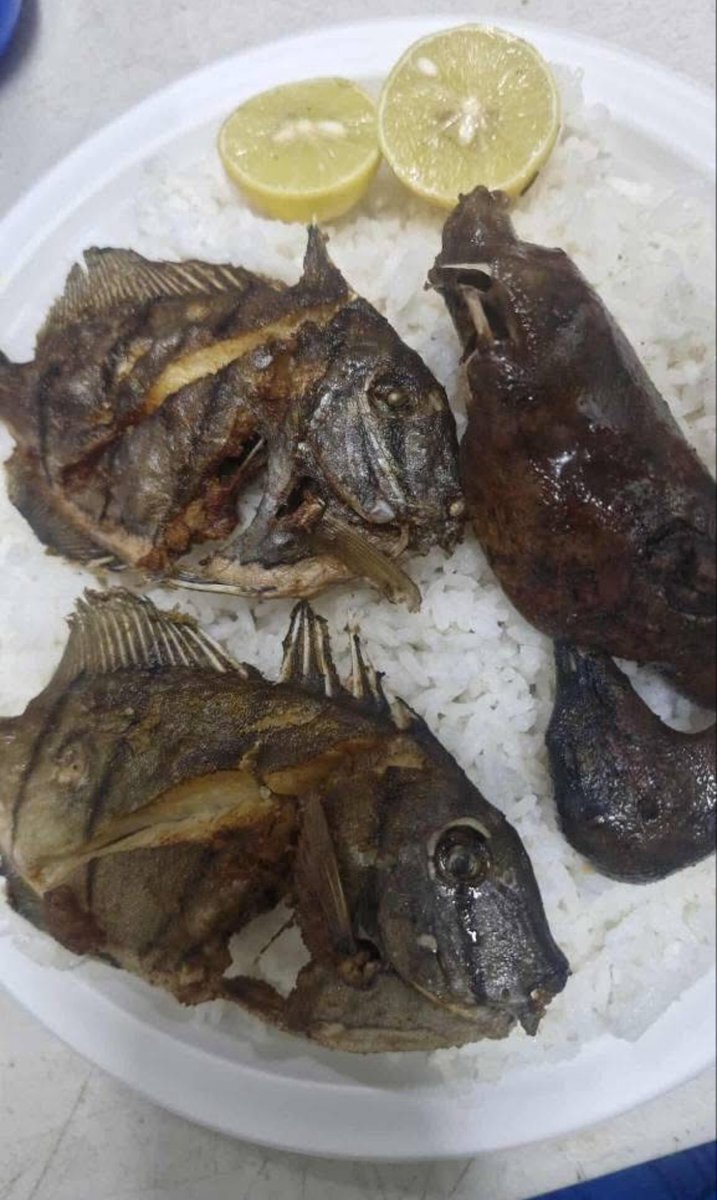 フィンランド元大使館職員の発言でナウル共和国と対立か