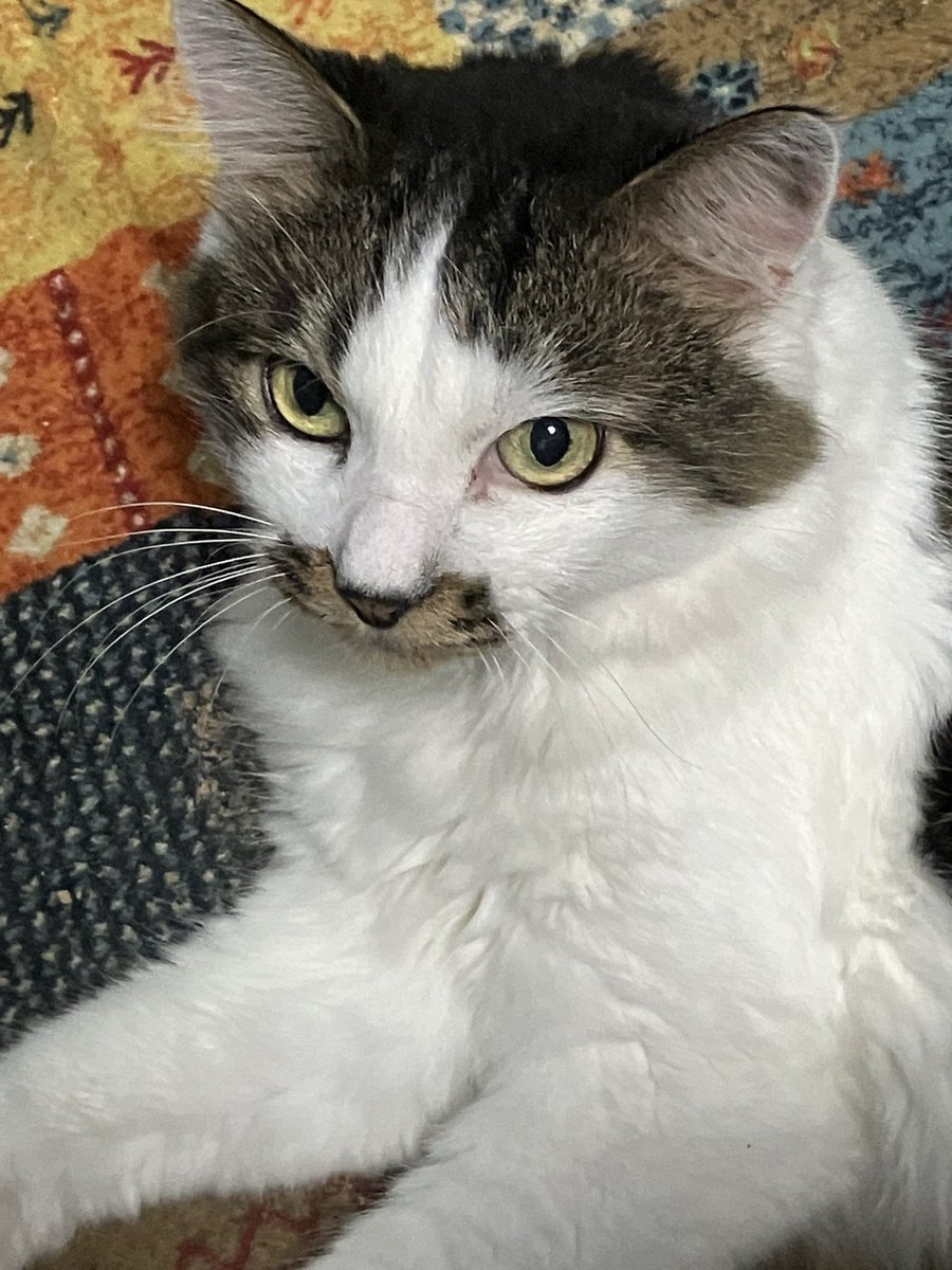 「「ちょうどいいラジオ」のリスナー、どんな話題を共有？」