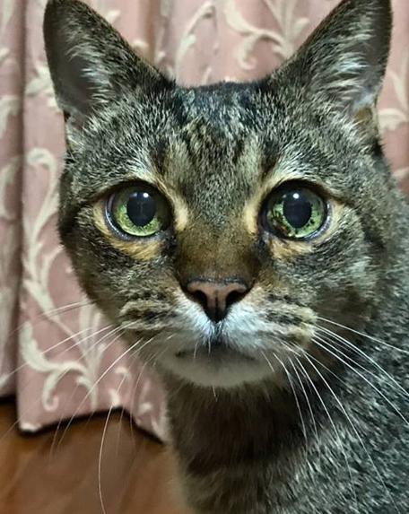 誰かを応援するメッセージがSNSで話題に