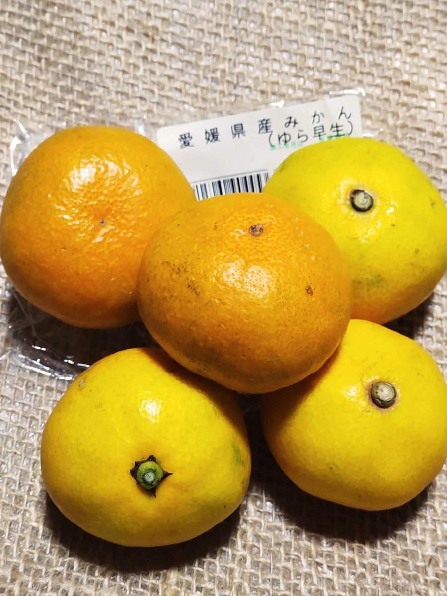 柑橘」のYahoo!リアルタイム検索 - X（旧Twitter）を