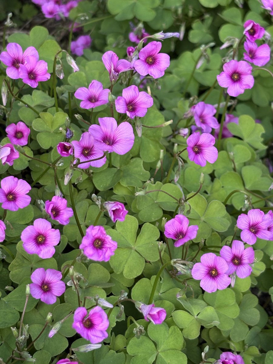 傘を忘れた人が続出！ 