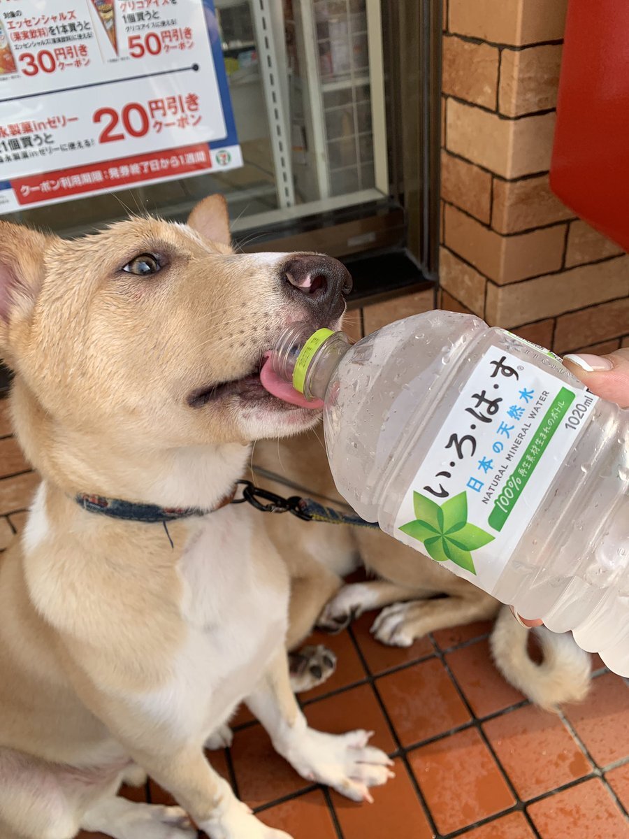 SEVENELEVEN」のYahoo!リアルタイム検索 - X（旧Twitter）を