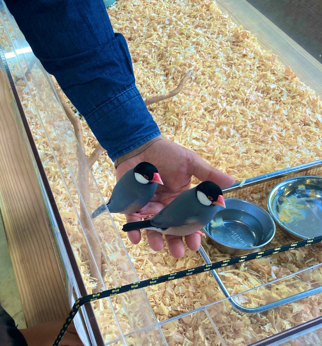 銀テープ」のYahoo!リアルタイム検索 - X（旧Twitter）を