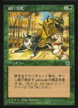 多賀城市でクマと間違えたのは？