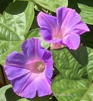 残り3週間！SNSで年末への期待と振り返り