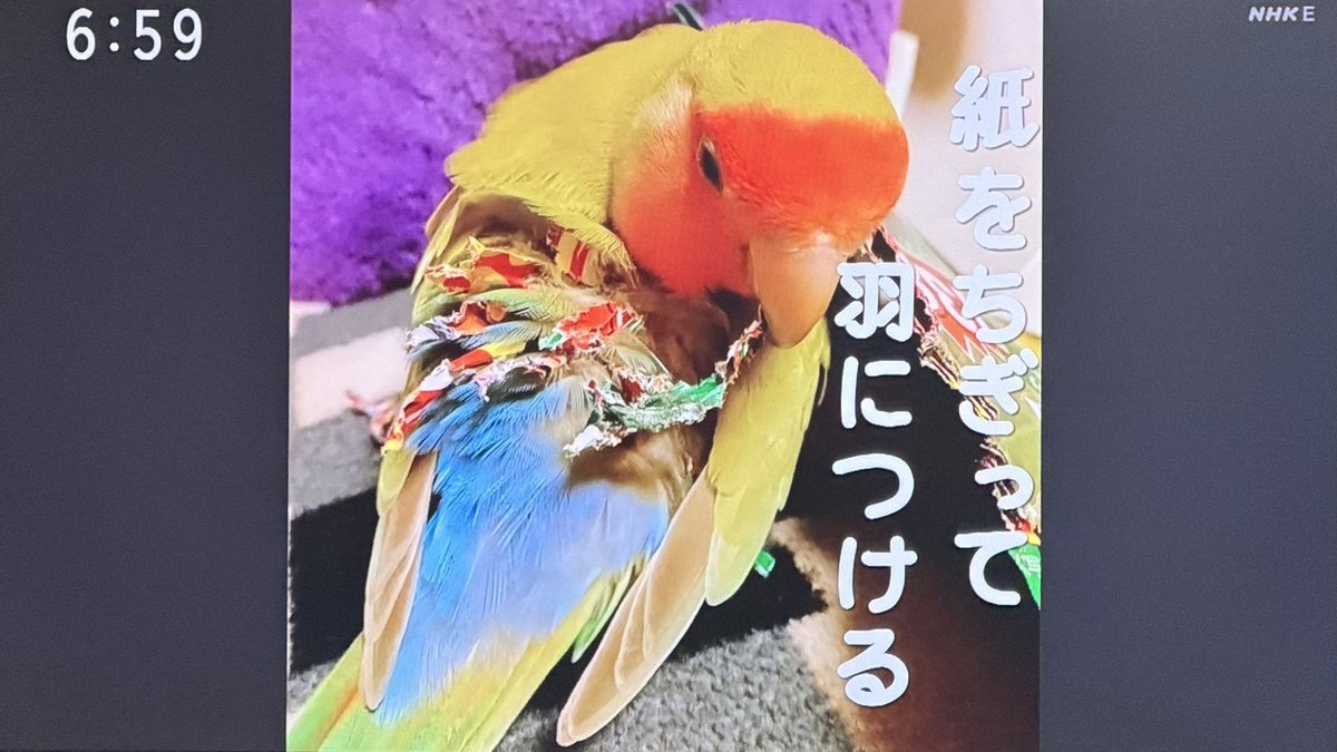 Yでやらせてもらってます！　 e0655」のYahoo!リアルタイム検索 - X（旧Twitter）をリアルタイム検索