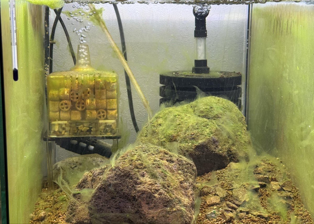 12月初旬、強烈寒気襲来！ 厳しい寒さに備えよう