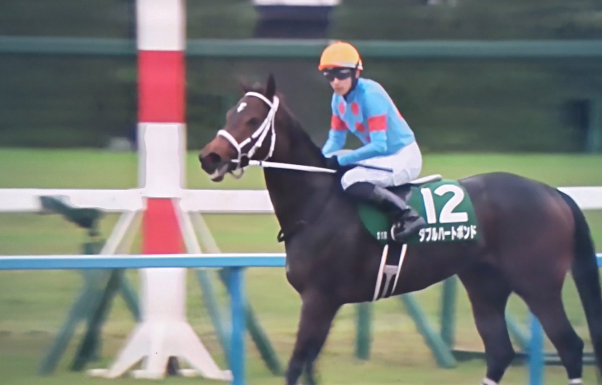 キズナ産駒、ダブルハートボンドがチャンピオンズカップでJRAダートG1初制覇！