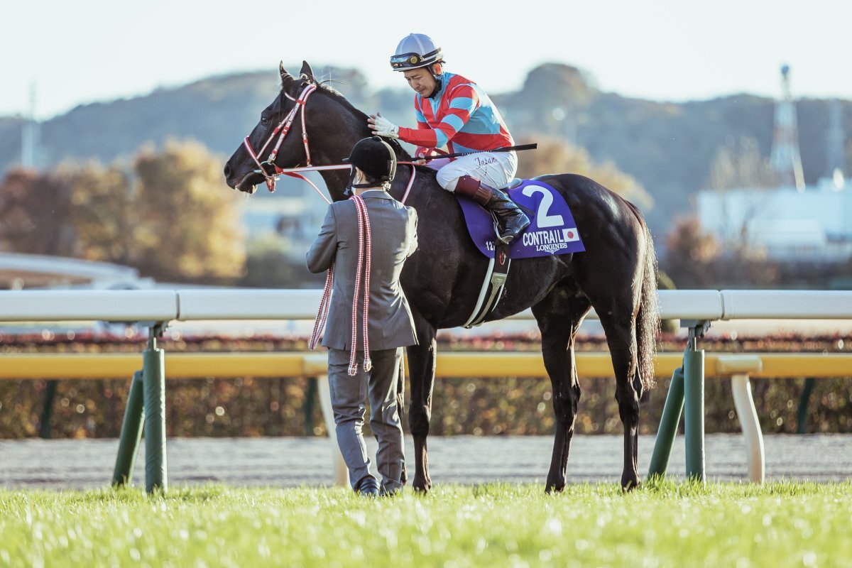 即納&大特価】 中山競馬場 ドウデュース コントレイル ファイル
