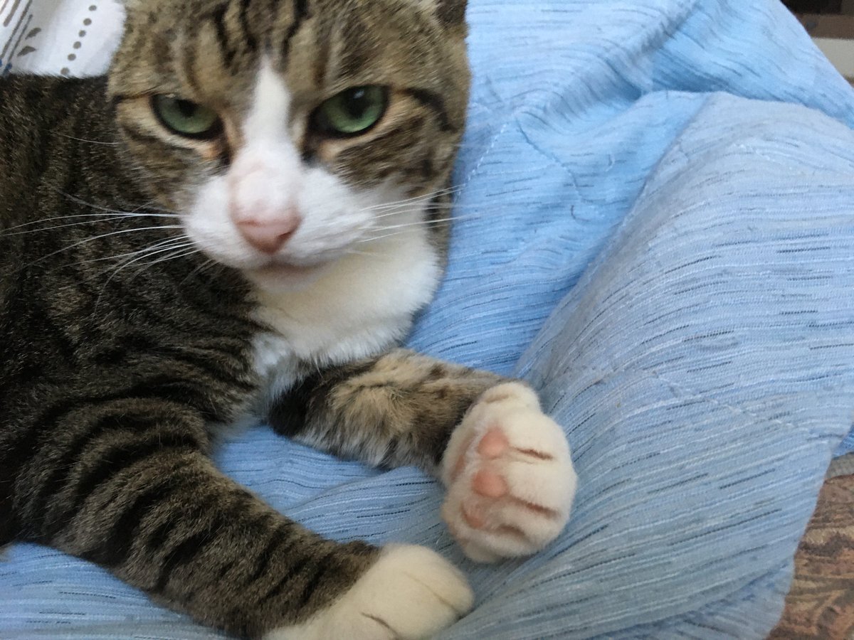 関東地方で地震発生、SNS上「びっくり」の声多数