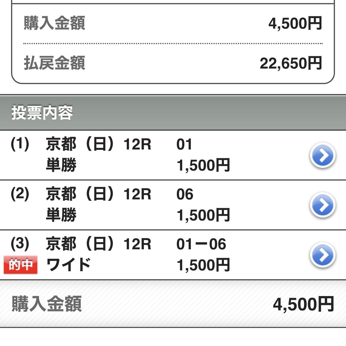 バッケンレコード、京都聚楽第特別で2着！