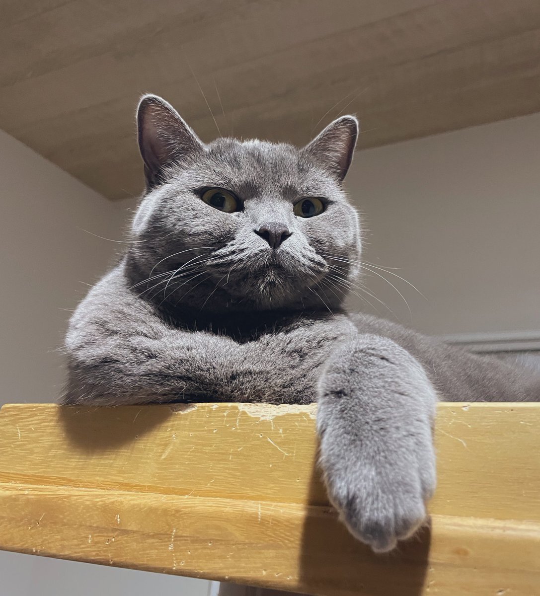 空気清浄機、SNSで話題に！ユーザーの意見は？