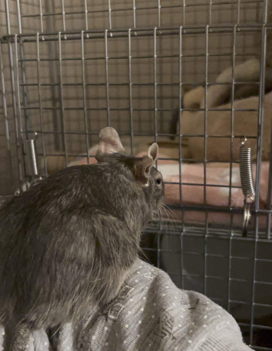 SNSユーザーが語る！日常の悩みから発見まで