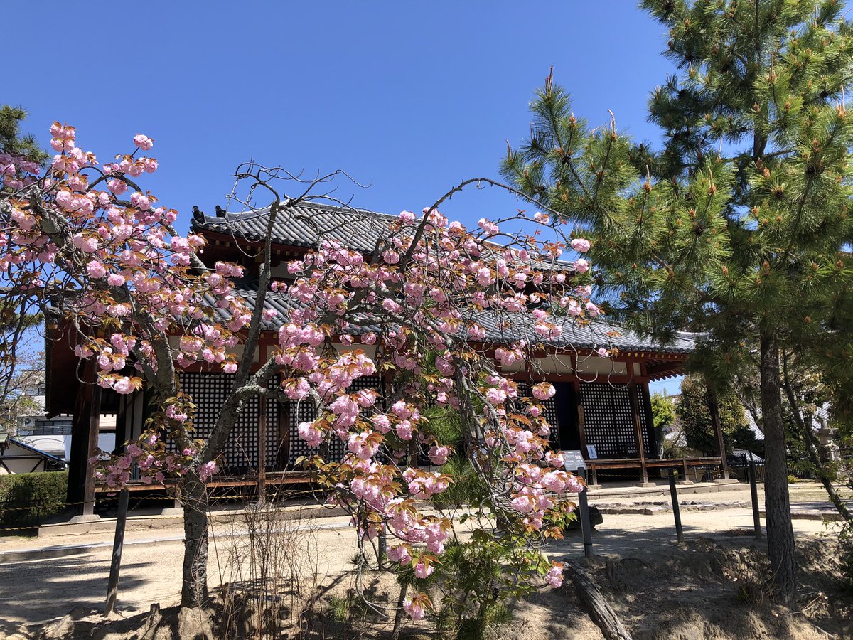 西大寺 のtwitter検索結果 Yahoo リアルタイム検索