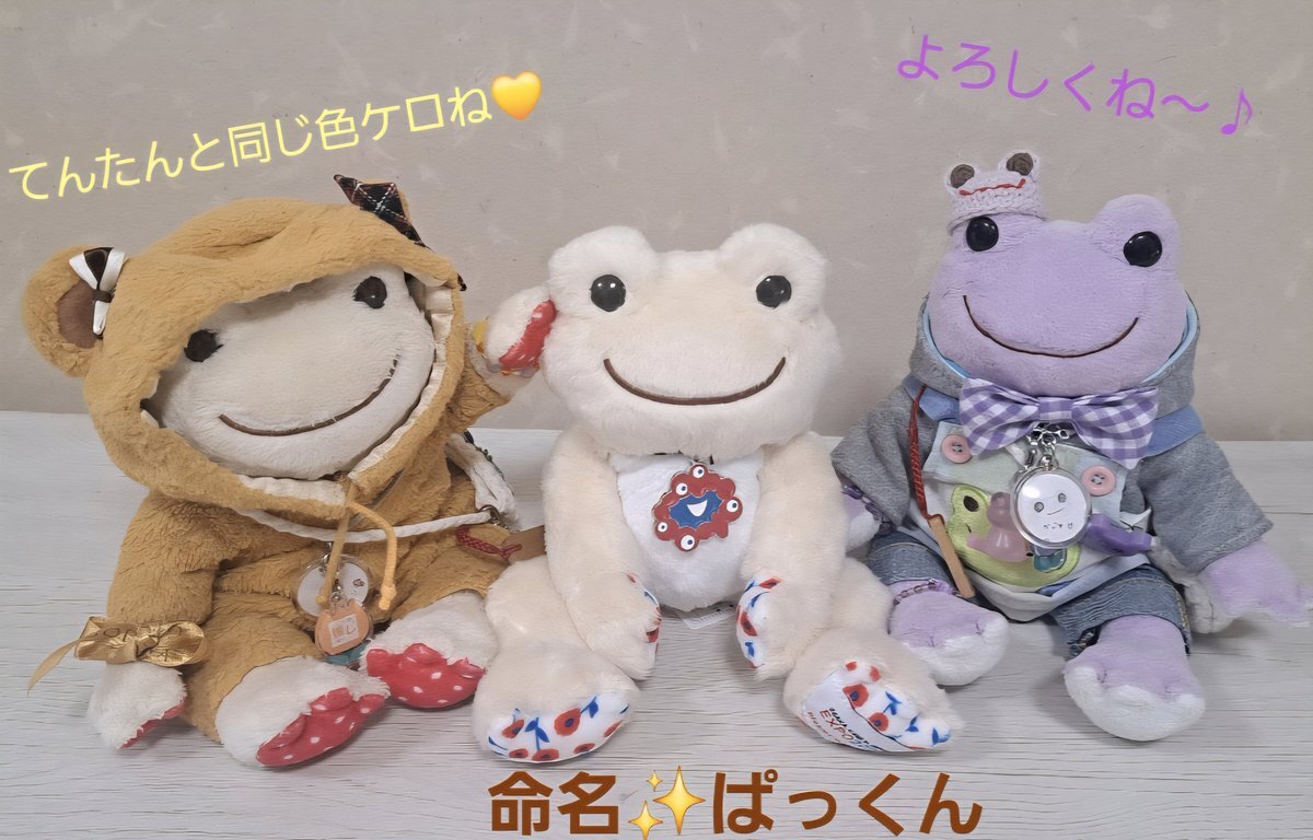 かえるのピクルス 万博 白 大阪関西万博 かえるのピクルス 白